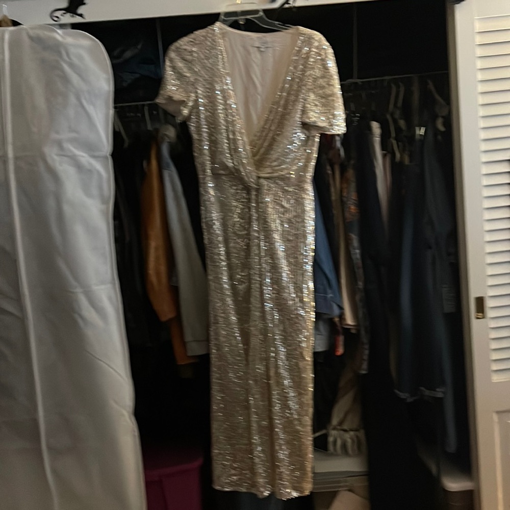 Joanna Hope Sequin Dress